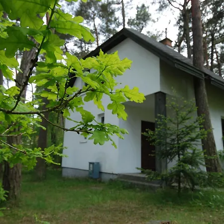 Domyletnie 100m2 Z Altana Holiday home
