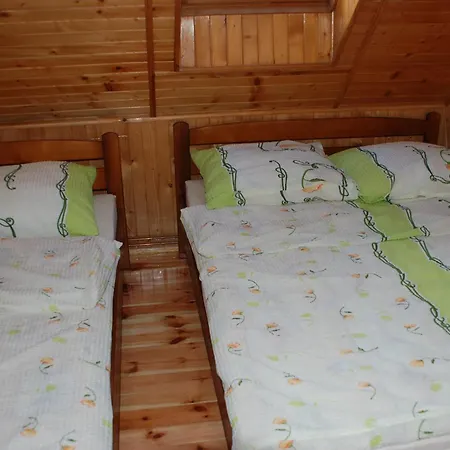 Domyletnie 100m2 Z Altana *