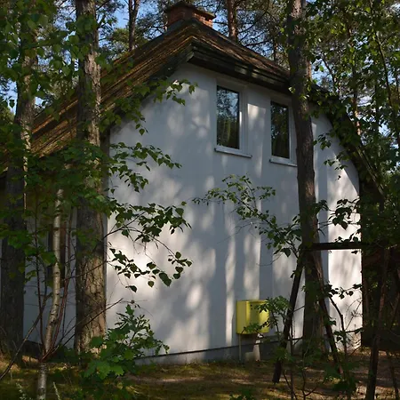 Domyletnie 100m2 Z Altana