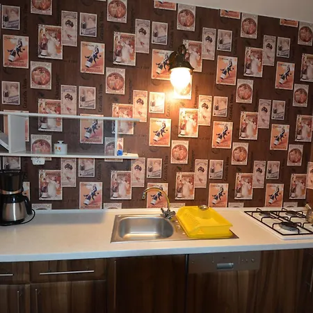 Domyletnie 100m2 Z Altana *