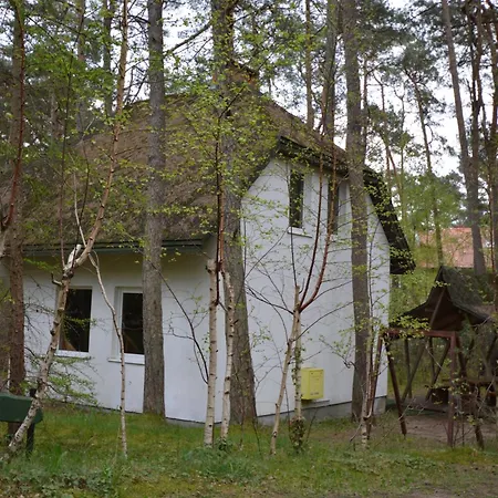 Domyletnie 100m2 Z Altana