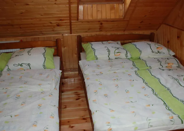 Domyletnie 100m2 Z Altana *