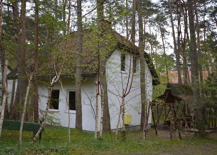 Domyletnie 100m2 Z Altana